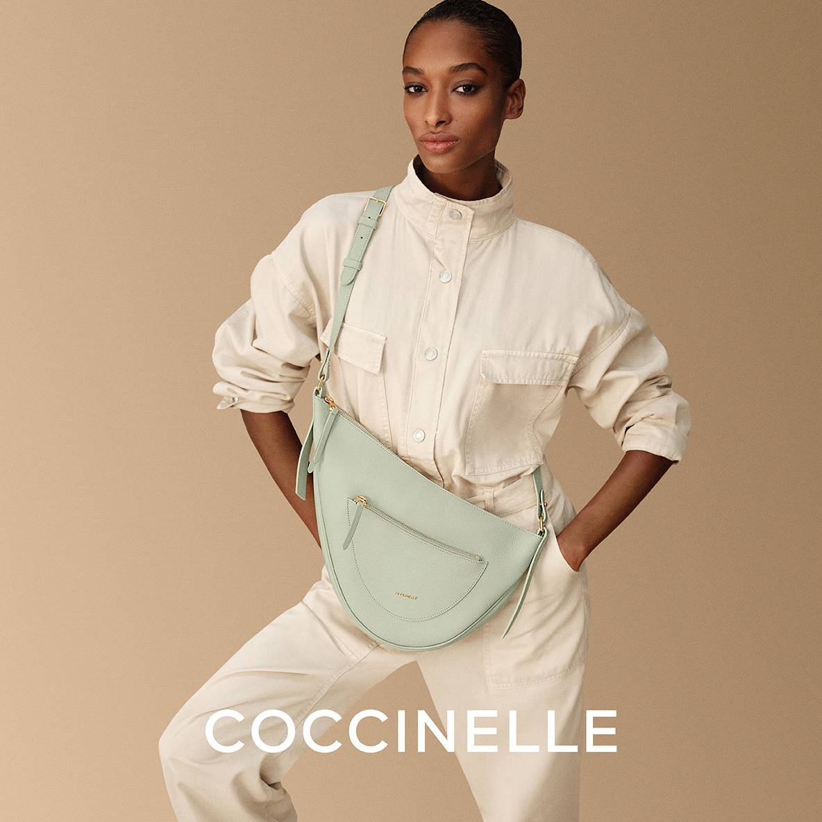 Coccinelle