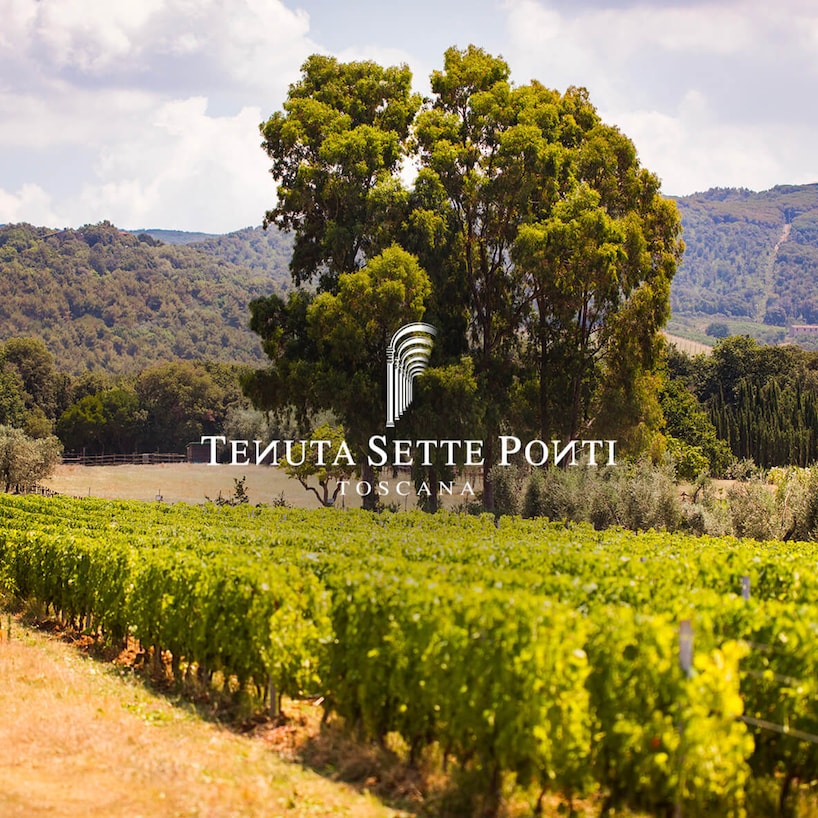 Tenuta Sette Ponti