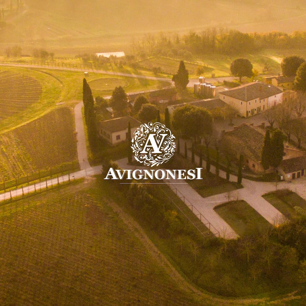 Avignonesi