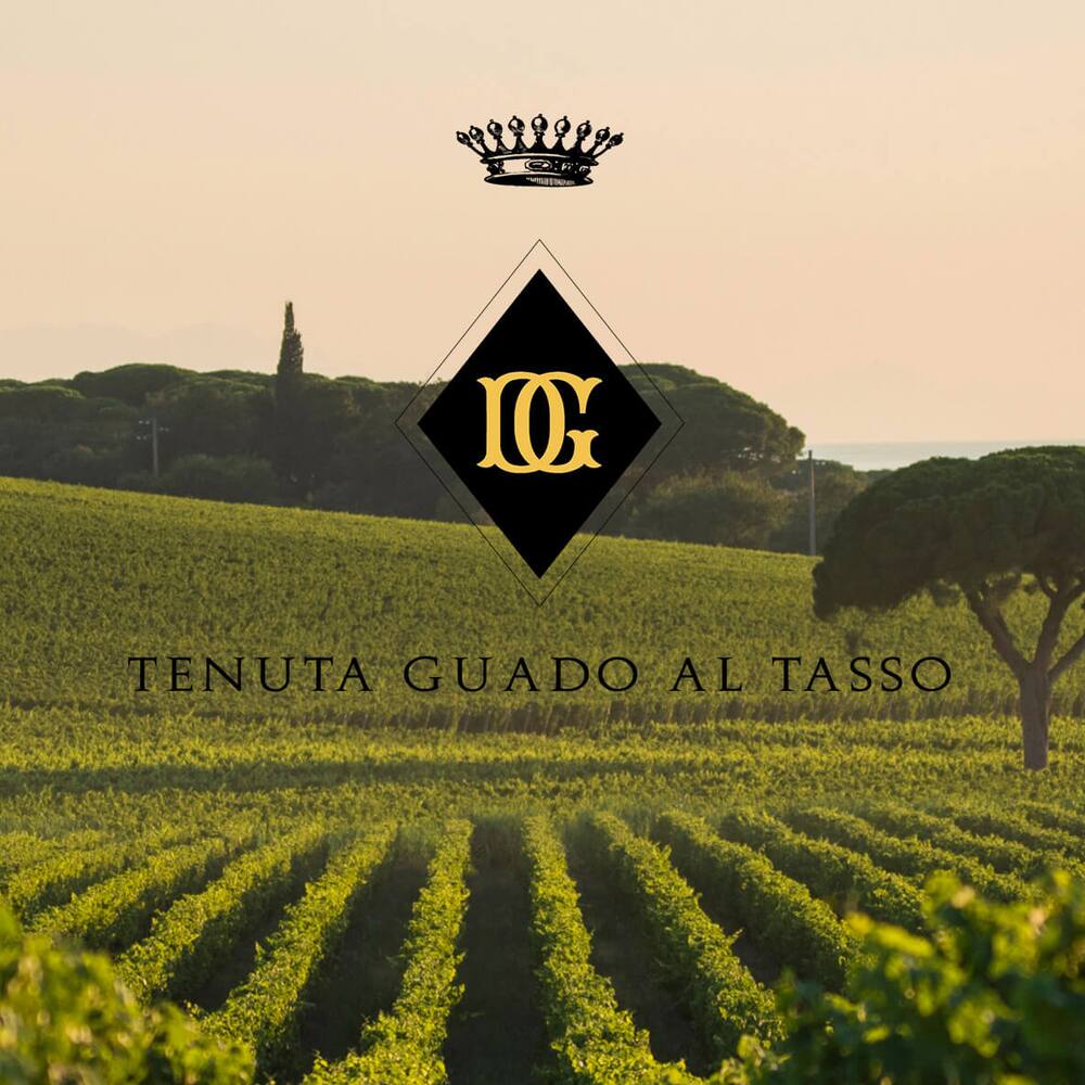 Tenuta Guado al Tasso
