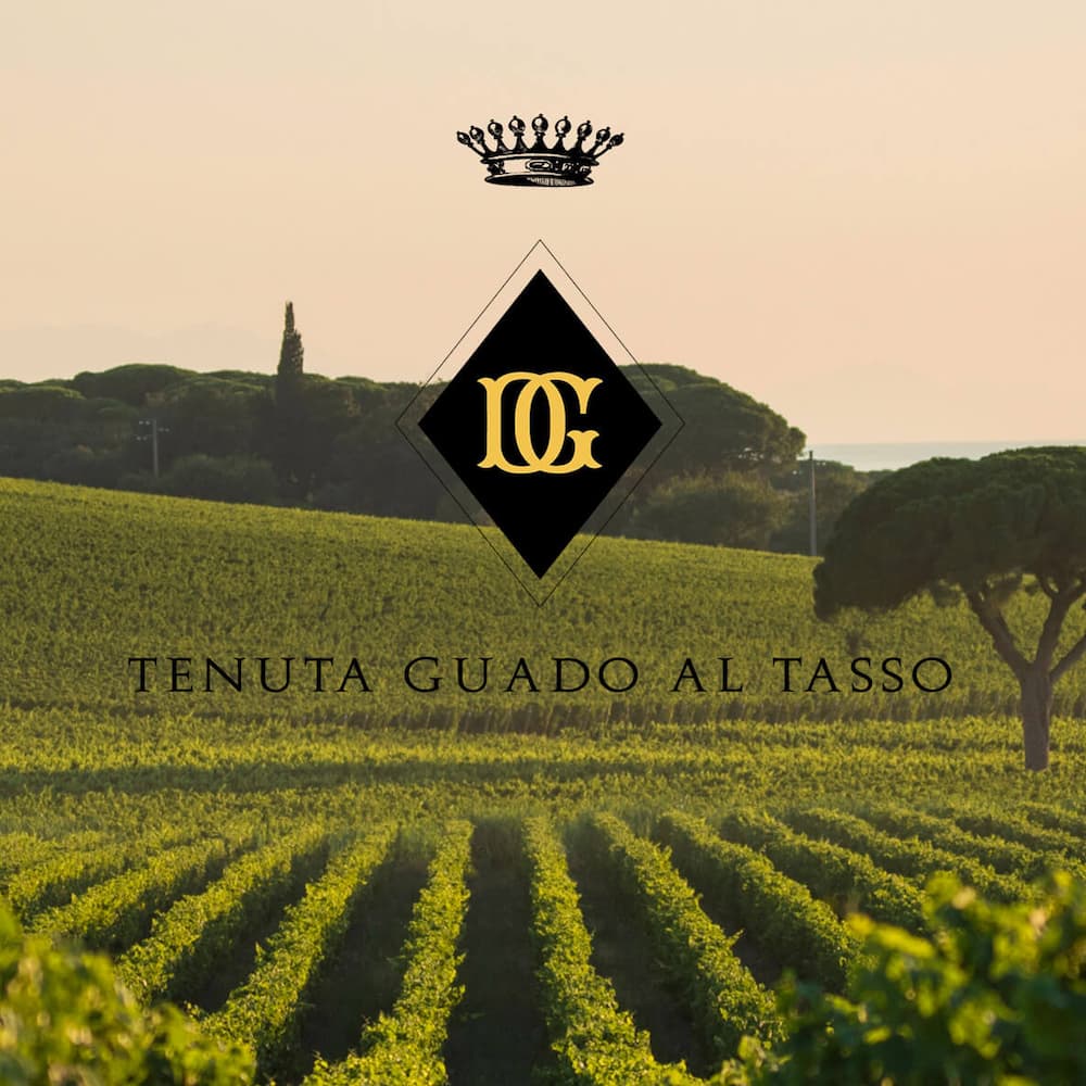 Tenuta Guado al Tasso